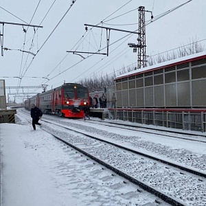 ����� �������� ����, ���������� ������ �������