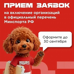 �������� ������������-���������� ����������� ���������� �������