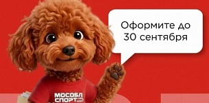 �������� ������������-���������� ����������� ���������� �������